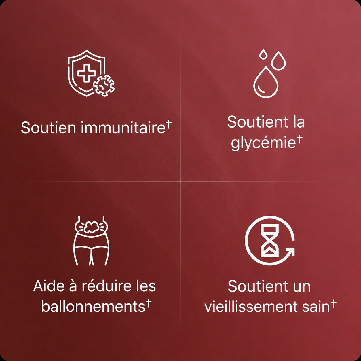Extrait de Grenade Bio en Gélules