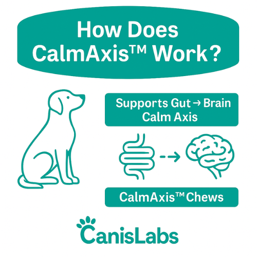 CalmAxis™ Postbiotic Chews