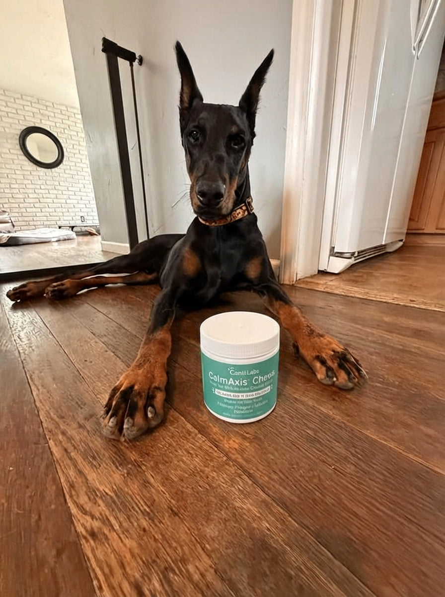 Customer dog