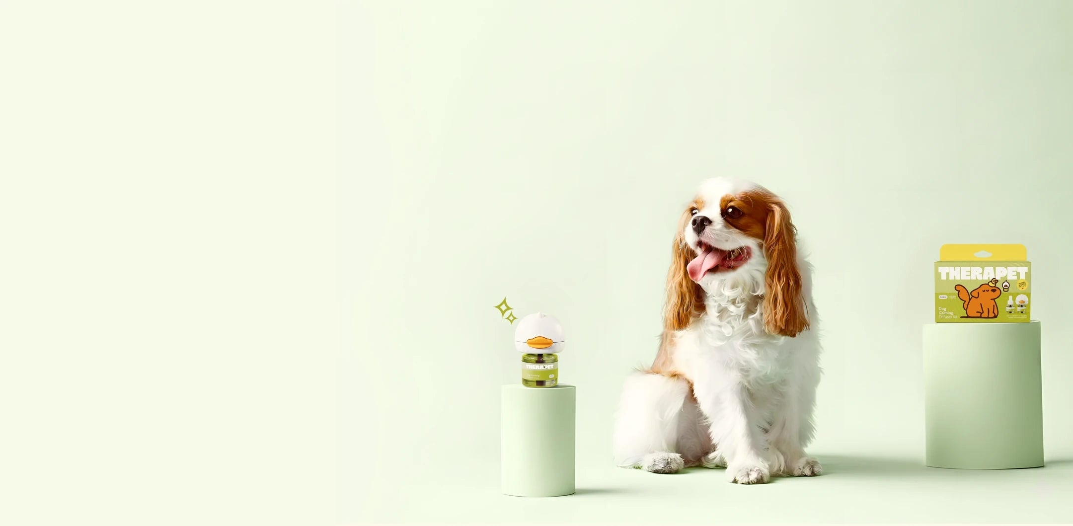 Why Vets Recommend TheraPetMD for Stressed Dogs