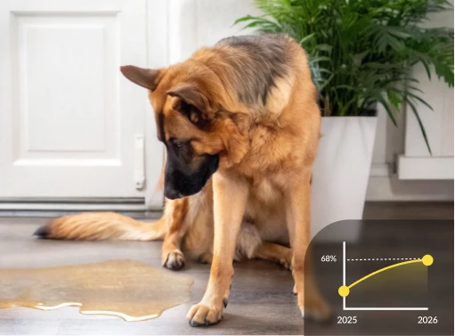 Did you know indoor peeing affects 68% of dogs?