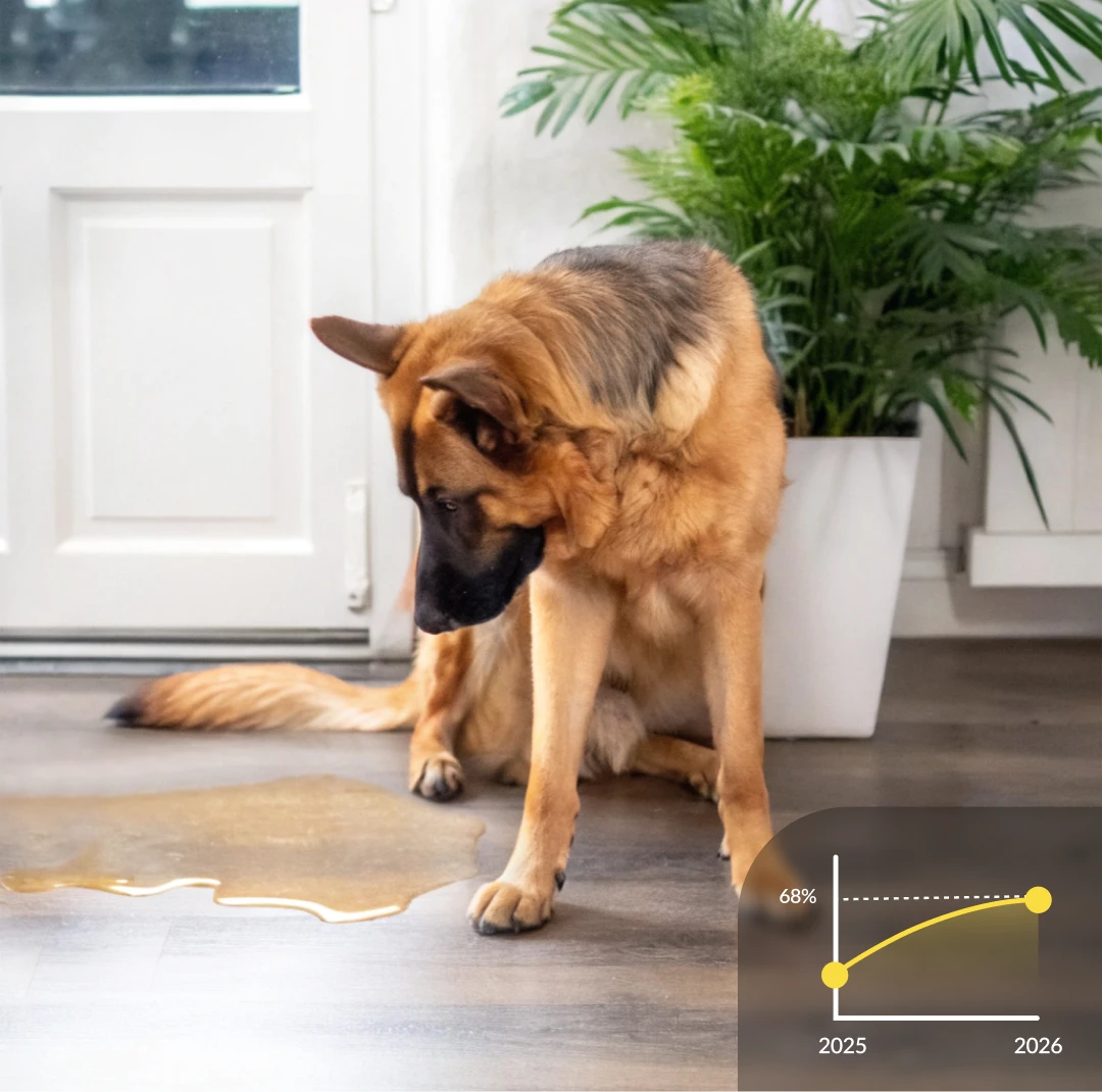 Did you know indoor peeing affects 68% of dogs?
