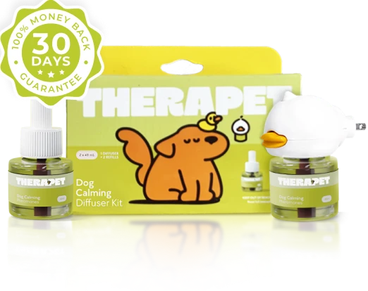 RESULTS OR MONEY BACK GUARANTEE