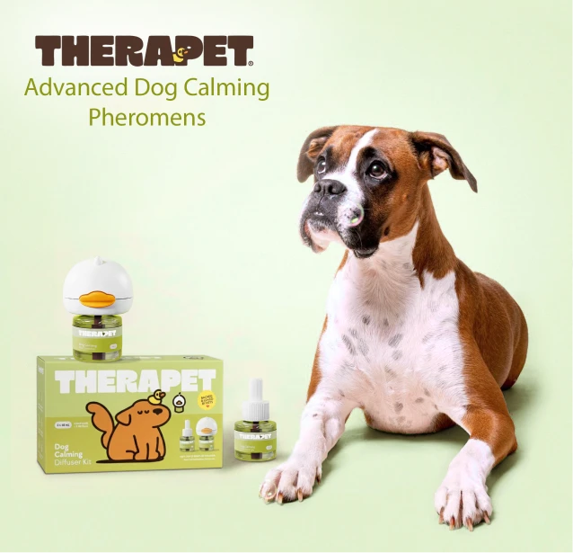 Why Is Your Dog Behaving Badly?