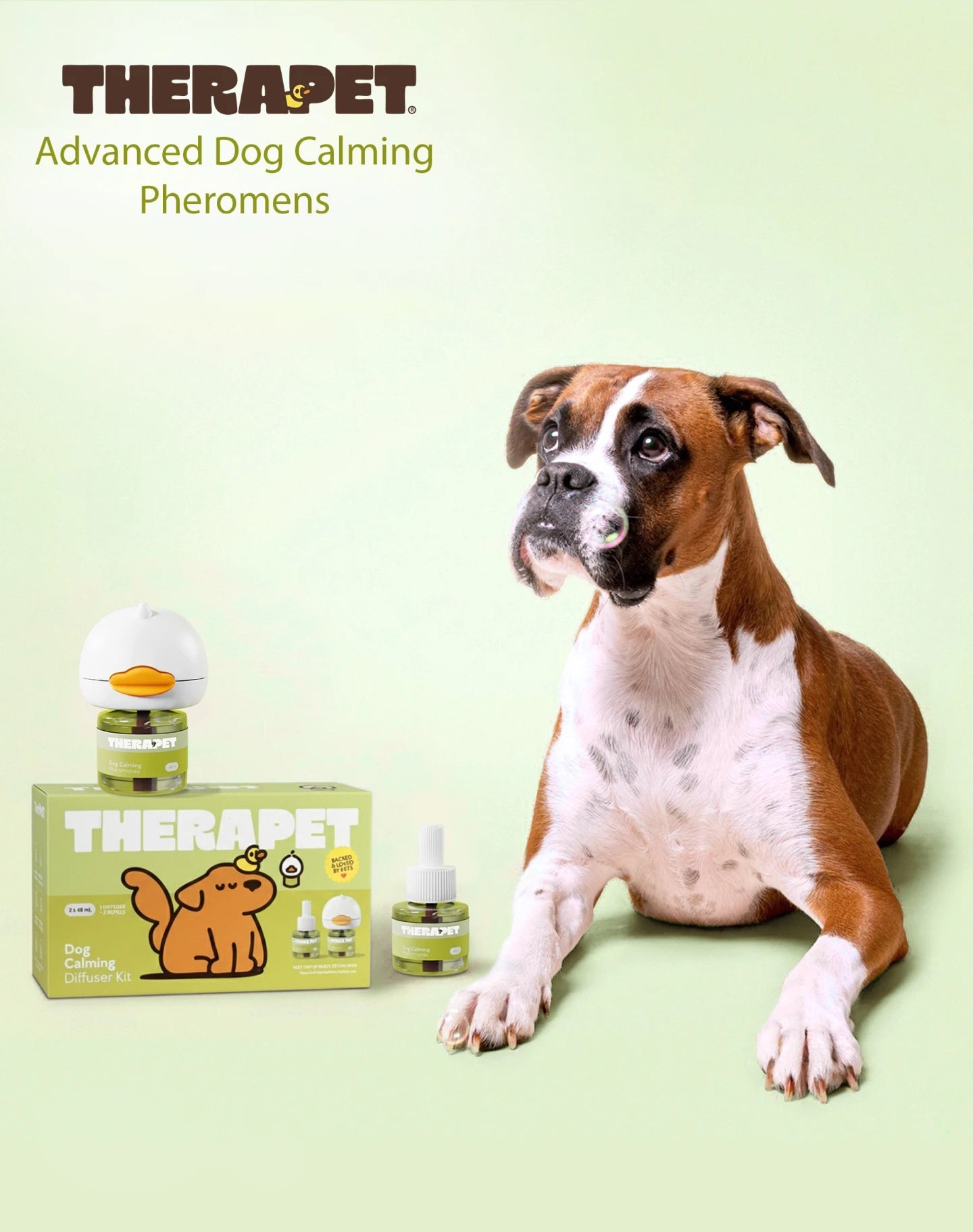 Why Is Your Dog Behaving Badly?